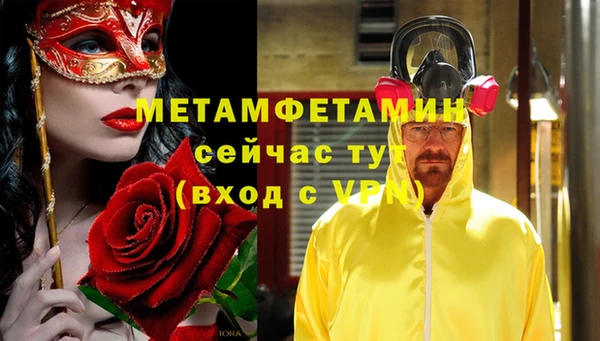 ГАЛЛЮЦИНОГЕННЫЕ ГРИБЫ Инсар