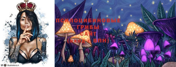 2c-b Карпинск